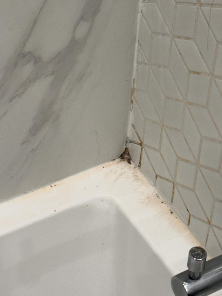 Bathtub corner with mildew and dirt buildup before Handedly deep clean